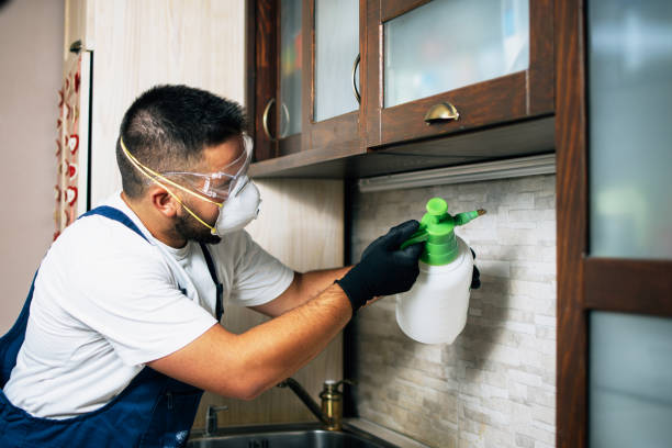 Best Commercial Pest Control Services  in Moscow, ID