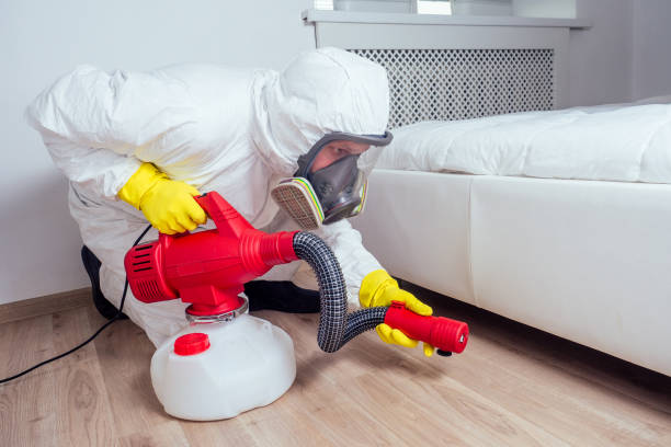 Trusted Moscow, ID Pest Control Experts