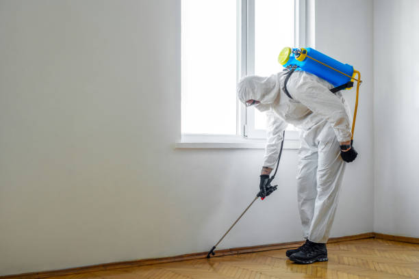 Flea Control Services in Moscow, ID