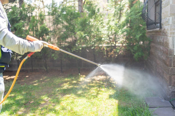 Best Pest Control Near Me  in Moscow, ID
