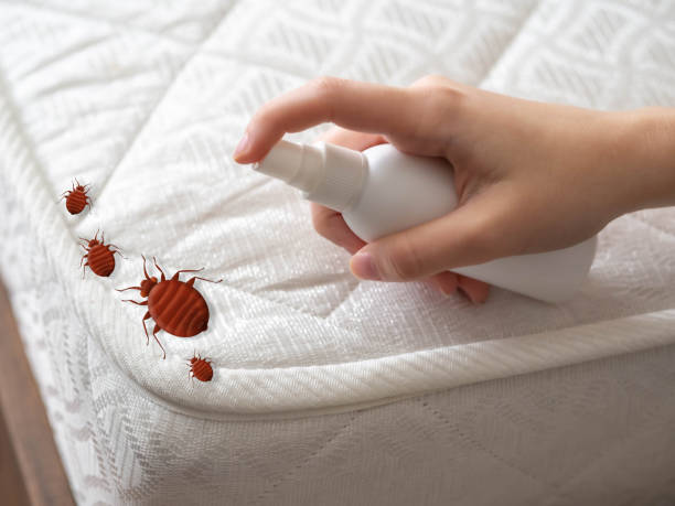 Best Exterminator Services  in Moscow, ID