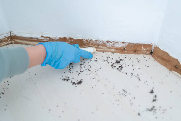 Best Pest Control Near Me in Moscow, ID